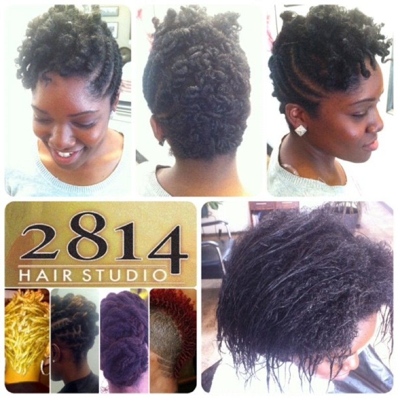 Perfect Looks For Transitioning Hair 2814 Hair Studio Brandii Hollowy Stylist Los Angeles California Us